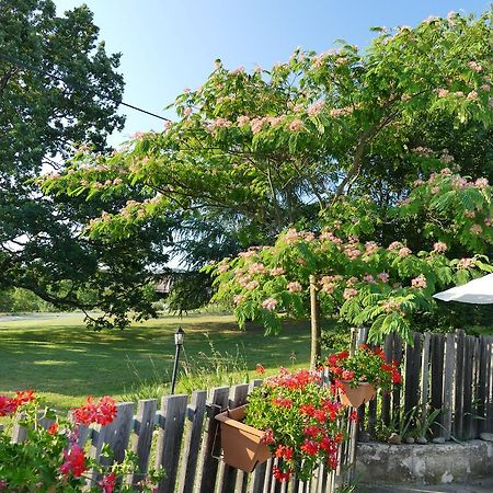 Un Gite De Charme En Haute Provence Villa Sigoyer  Eksteriør bilde