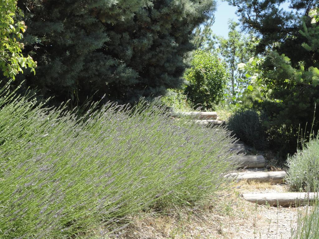 Un Gite De Charme En Haute Provence Villa Sigoyer  Rom bilde