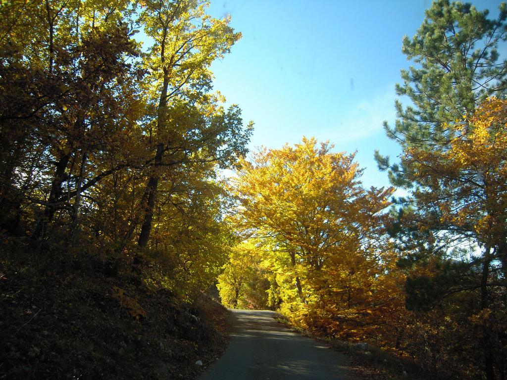 Un Gite De Charme En Haute Provence Villa Sigoyer  Rom bilde