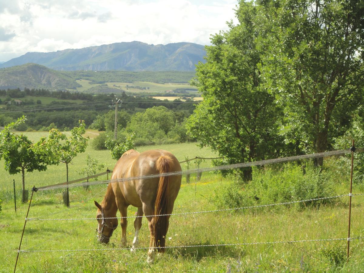 Un Gite De Charme En Haute Provence Villa Sigoyer  Eksteriør bilde