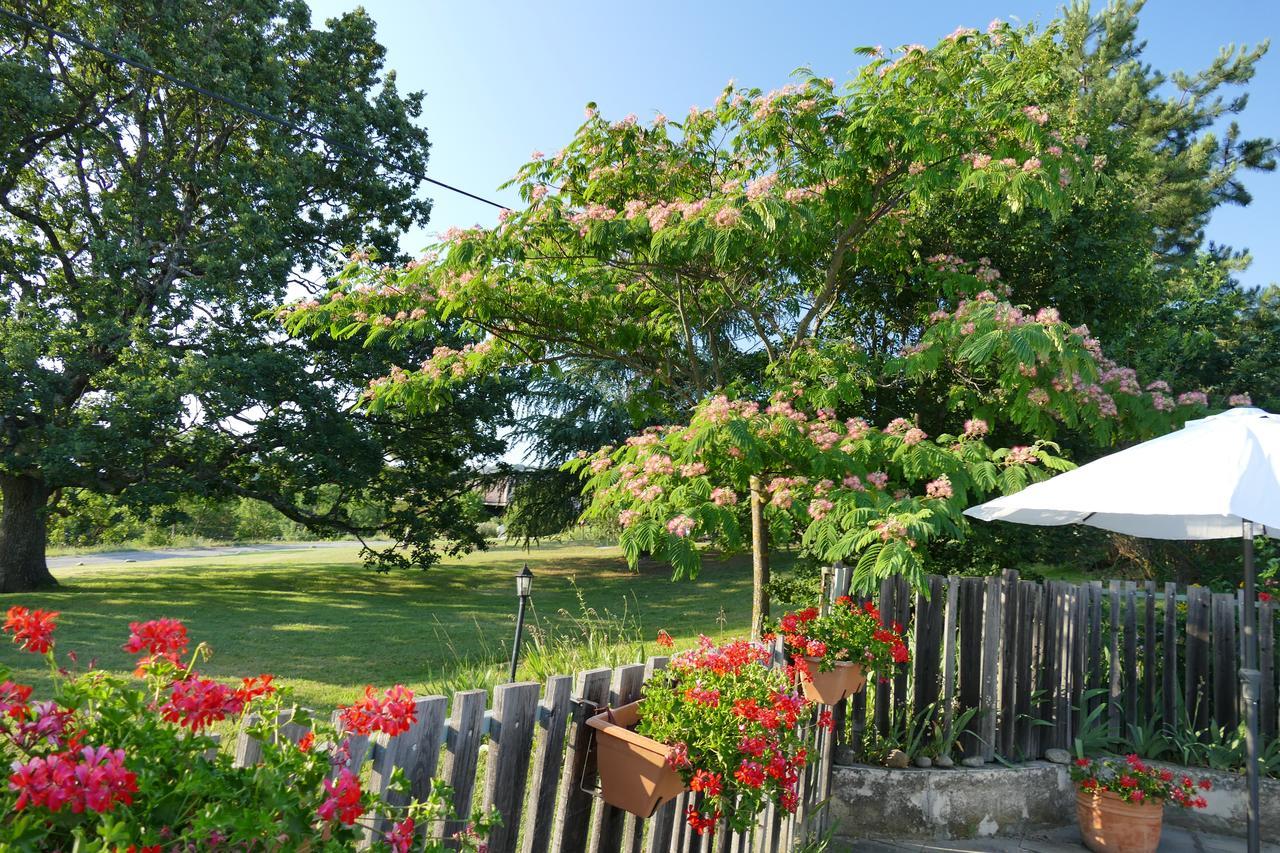 Un Gite De Charme En Haute Provence Villa Sigoyer  Eksteriør bilde